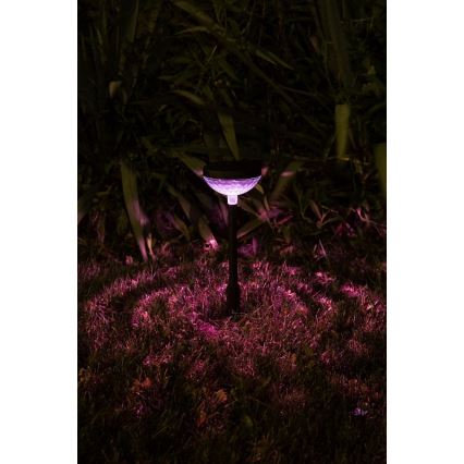 Rabalux - LED RGB Solarna lampa LED/0,1W/1,2V 600mAh IP44