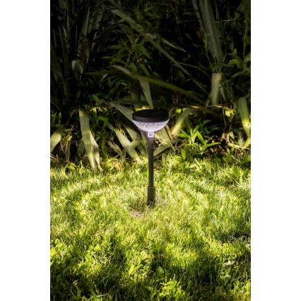 Rabalux - LED RGB Solarna lampa LED/0,1W/1,2V 600mAh IP44