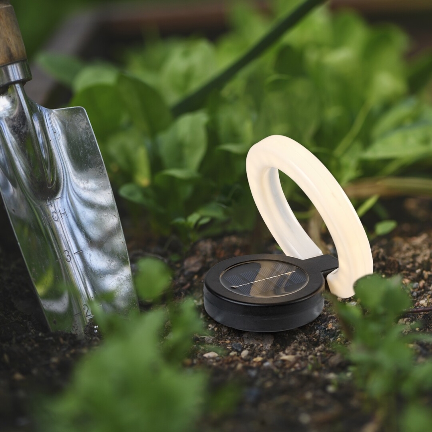 Rabalux - LED Oświetlenie solarne LED/0,05W/1,2V IP44