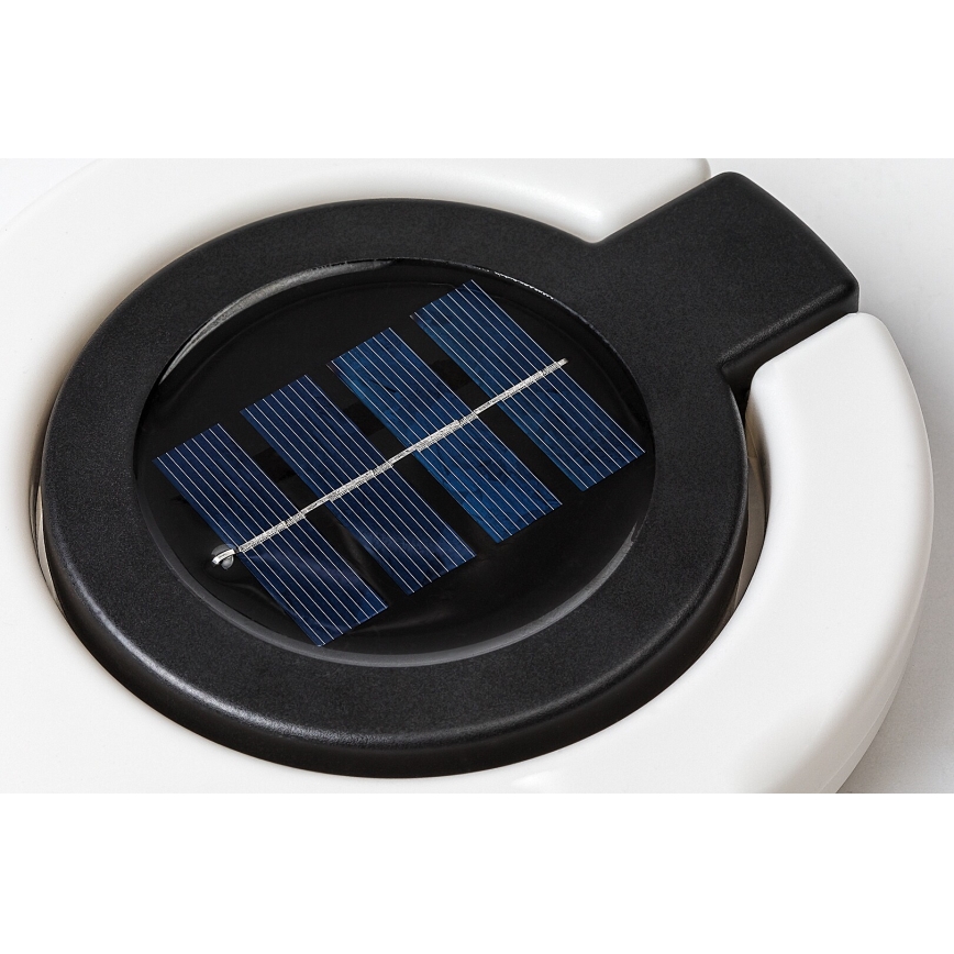 Rabalux - LED Oświetlenie solarne LED/0,05W/1,2V IP44