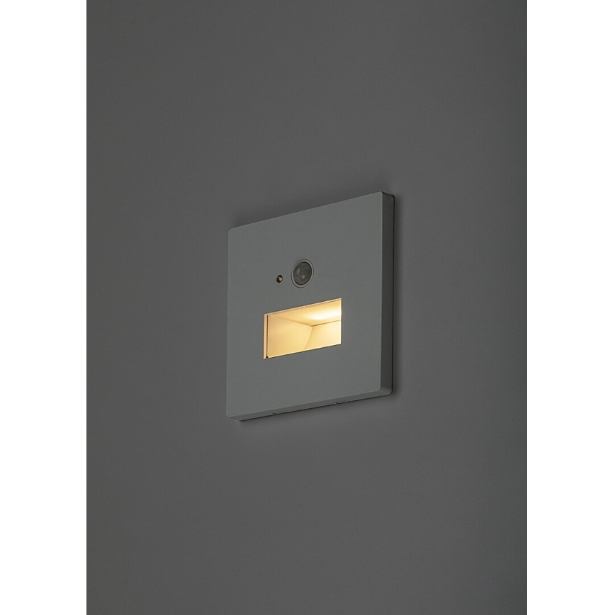 Rabalux - Oprawa schodowa LED z czujnikiem ruchu i zmierzchu LED/1W/230V 3000/4500/6500K biała
