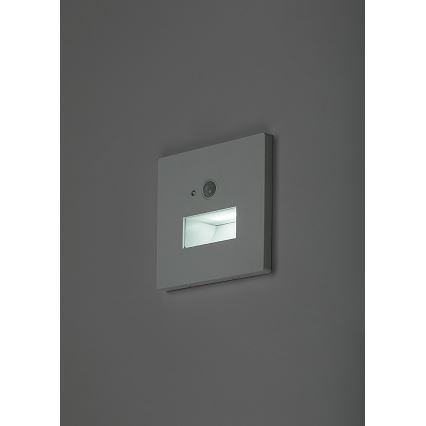 Rabalux - Oprawa schodowa LED z czujnikiem ruchu i zmierzchu LED/1W/230V 3000/4500/6500K biała