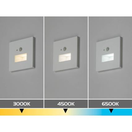 Rabalux - Oprawa schodowa LED z czujnikiem ruchu i zmierzchu LED/1W/230V 3000/4500/6500K biała