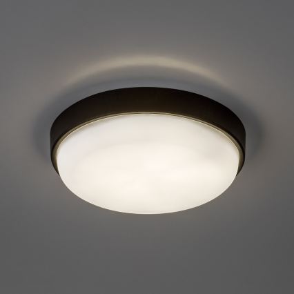 Rabalux - Oprawa sufitowa zewnętrzna LED/14W/230V IP54 czarna