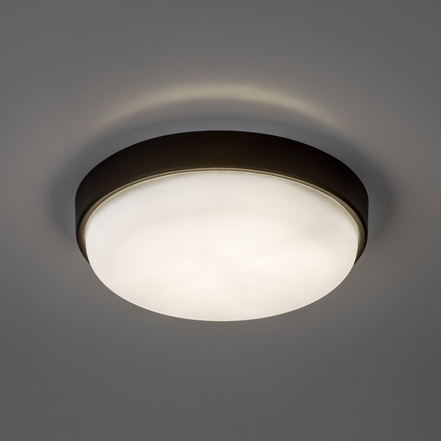 Rabalux - Oprawa sufitowa zewnętrzna LED/14W/230V IP54 czarna