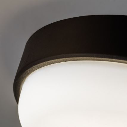 Rabalux - Oprawa sufitowa zewnętrzna LED/14W/230V IP54 czarna