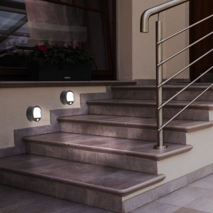 LED Kinkiet zewnętrzny z czujnikiem LED/1,5W/3xAA IP44 czarny