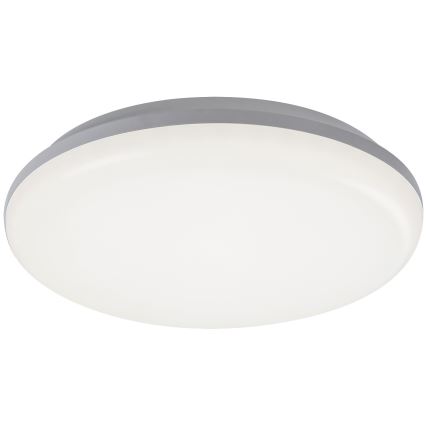 Rabalux - LED Plafon zewnętrzny LED/24W/230V IP64