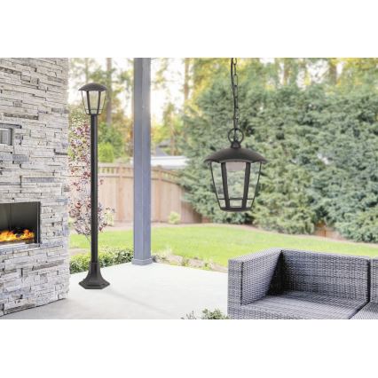 Rabalux - LED Zewnętrzna lampa wisząca LED/8W/230V IP44