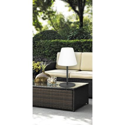 Rabalux 8658 - Oświetlenie zewnętrzne LIDA 1xE27/23W