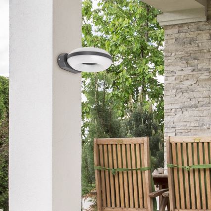 Rabalux 8770 - LED Kinkiet zewnętrzny GRAZ 1xLED/12W