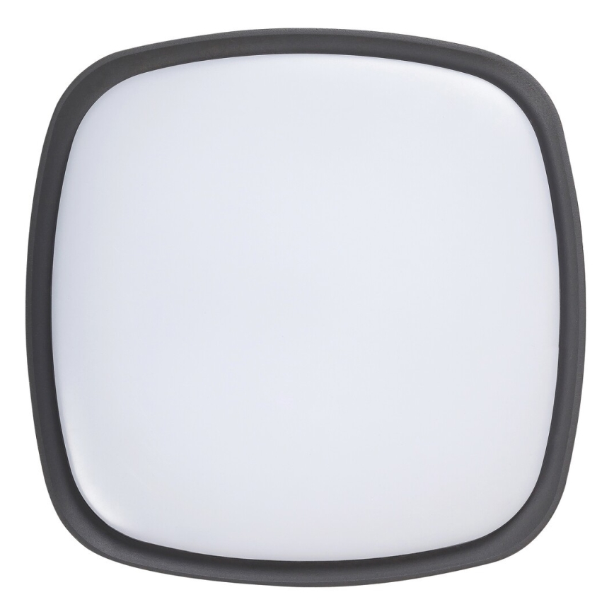 Rabalux - LED Plafon zewnętrzny LED/20W/230V IP65