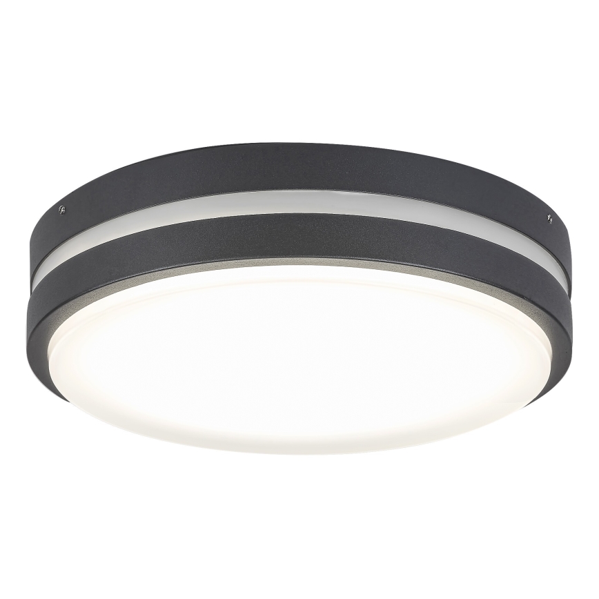 Rabalux 8848 - LED Kinkiet zewnętrzny HAMBURG LED/12W/230V IP44