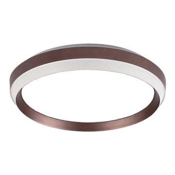 Rabalux - Część zamienna do oprawy sufitowej FONTANA