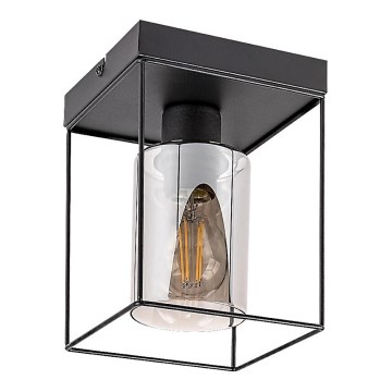 Rabalux - Lampa sufitowa 1xE27/25W/230V 15x15 cm