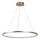 Rabalux - Lampa wisząca na lince LED/55W/230V 3000K
