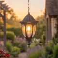 Rabalux - Lampa zewnętrzna 1xE27/60W/230V IP43 czarna