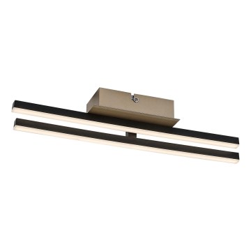 Rabalux - LED lampa sufitowa LED/16W/230V 4000K 13x41 cm