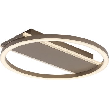 Rabalux - LED Oprawa sufitowa LED/24W/230V śr. 33 cm