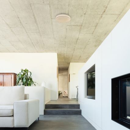 Rabalux - LED Oświetlenie sufitowe LED/12W/230V