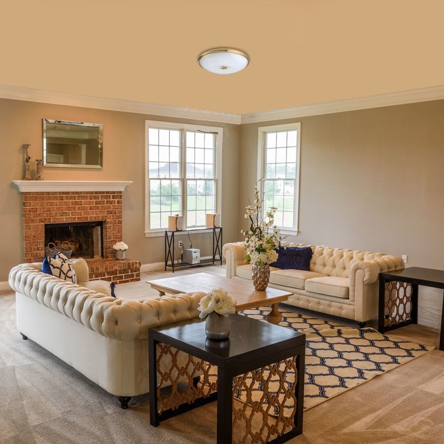 Rabalux - LED Oświetlenie sufitowe LED/24W/230V