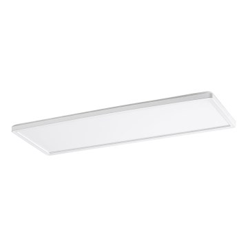 Rabalux - LED Panel natynkowy LED/22W/230V