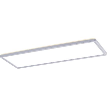 Rabalux - LED Panel natynkowy LED/22W/230V