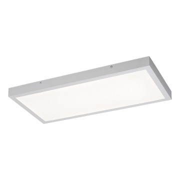 Rabalux - LED Panel natynkowy LED/24W/230V 4000K 60x30 cm