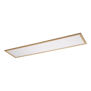 Rabalux - LED Panel natynkowy LED/40W/230V 4000K