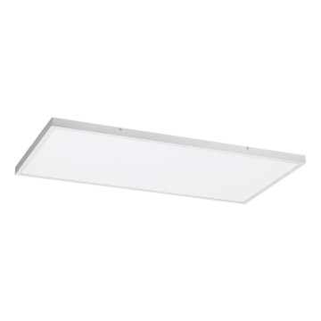 Rabalux - LED Panel natynkowy LED/80W/230V 4000K 120x60 cm