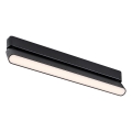 Rabalux - LED Plafon do 1-fazowego systemu szynowego LED/16W/230V 3000K 33 cm czarny