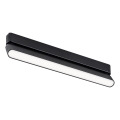 Rabalux - LED Plafon do 1-fazowego systemu szynowego LED/16W/230V 4000K 33 cm czarny