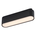 Rabalux - LED Plafon do 1-fazowego systemu szynowego LED/6W/230V 3000K 11,5 cm czarny