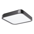 Rabalux - LED Plafon łazienkowy LED/18W/230V IP44 4000K 25x25 cm czarny