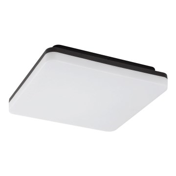 Rabalux - LED Plafon łazienkowy LED/24W/230V IP54