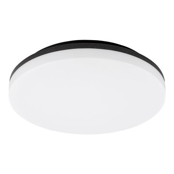 Rabalux - LED Plafon łazienkowy LED/24W/230V IP54