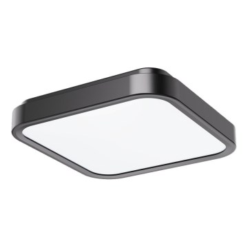 Rabalux - LED Plafon łazienkowy LED/48W/230V IP44 4000K 42x42 cm czarny