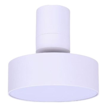 Rabalux - LED Plafon LED/16W/230V 3000K biały