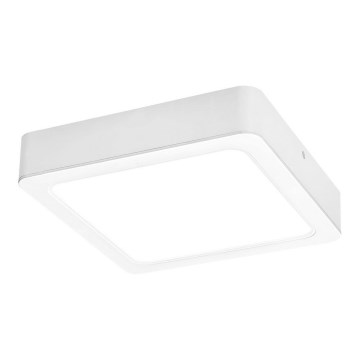 Rabalux - LED Plafon LED/18W/230V 17x17 cm