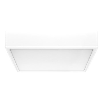 Rabalux - LED Plafon LED/22W/230V 3000/4000/6000K 21x21 cm biały