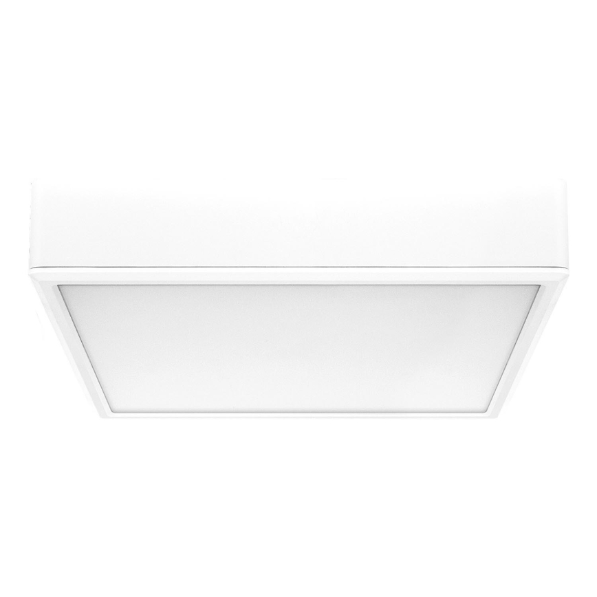 Rabalux - LED Plafon LED/22W/230V 3000/4000/6000K 21x21 cm biały