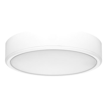 Rabalux - LED Plafon LED/22W/230V 3000/4000/6000K śr. 21 cm biała