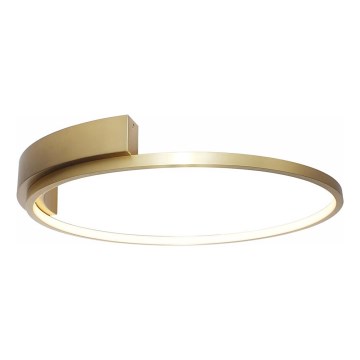 Rabalux - LED Plafon LED/23W/230V