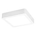 Rabalux - LED Plafon LED/24W/230V 22x22 cm
