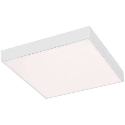 Rabalux - LED Plafon LED/24W/230V 3000-6000K IP44 biały