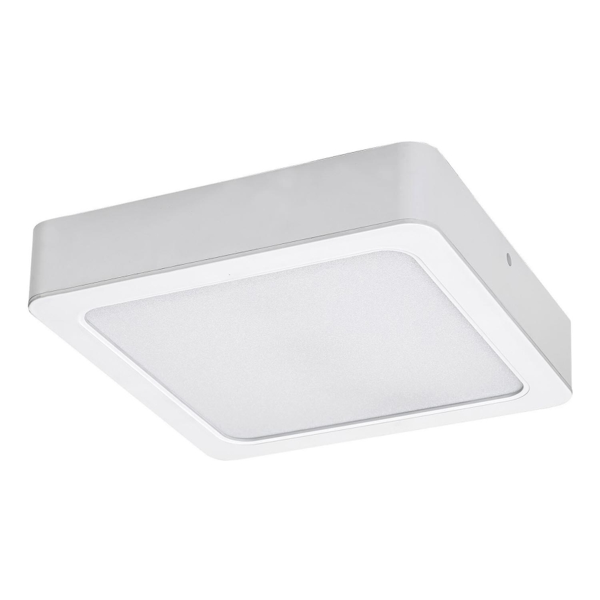 Rabalux - LED Plafon LED/24W/230V 3000K 22x22 cm biały