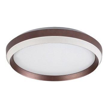 Rabalux - LED Plafon LED/24W/230V 3000K