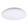 Rabalux - LED Plafon LED/32W/230V