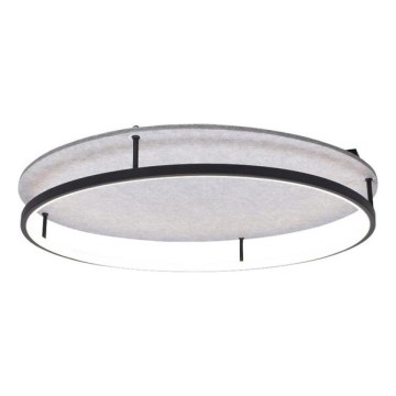 Rabalux - LED Plafon LED/40W/230V 3000/4000K