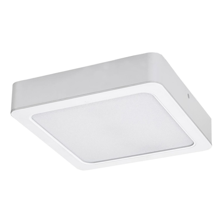 Rabalux - LED Plafon LED/7W/230V 3000K 12x12 cm biały